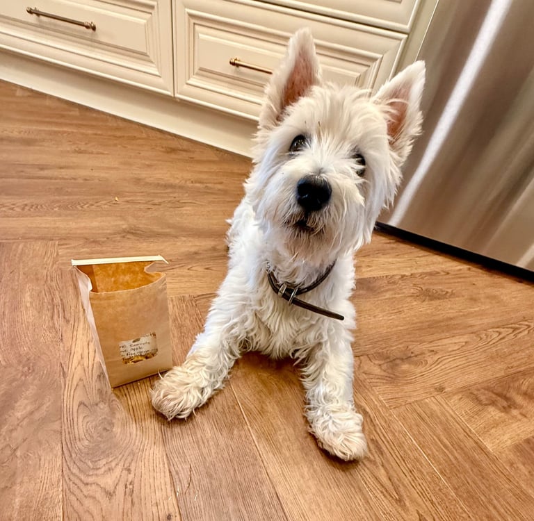 limited ingredient-healthy-all-natural-dog treats.jpeg