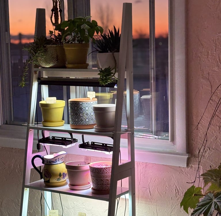 Indoor herb garden on a window shelf with grow lights glowing at sunset