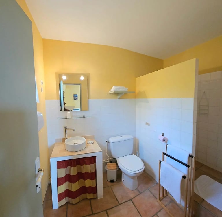Salle de bain chambre ocre avec douche à l'italienne, wc, vasque et miroir.