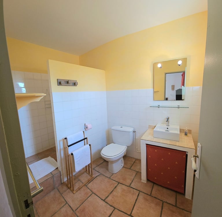 Salle de bain chambre Olivier avec douche à l'italienne, wc, et vasque couleur ton mur jaune pâle.