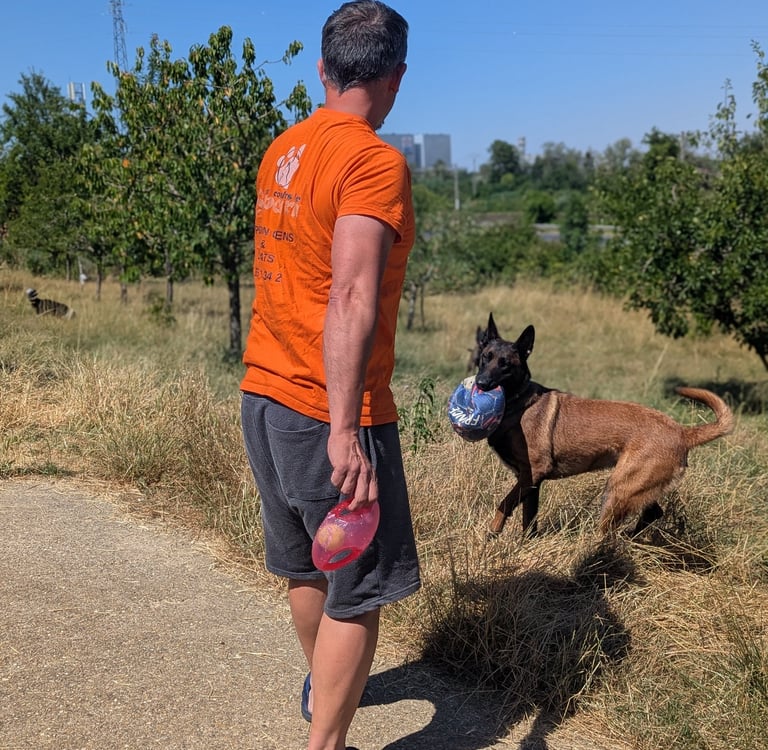 garde de chien nancy