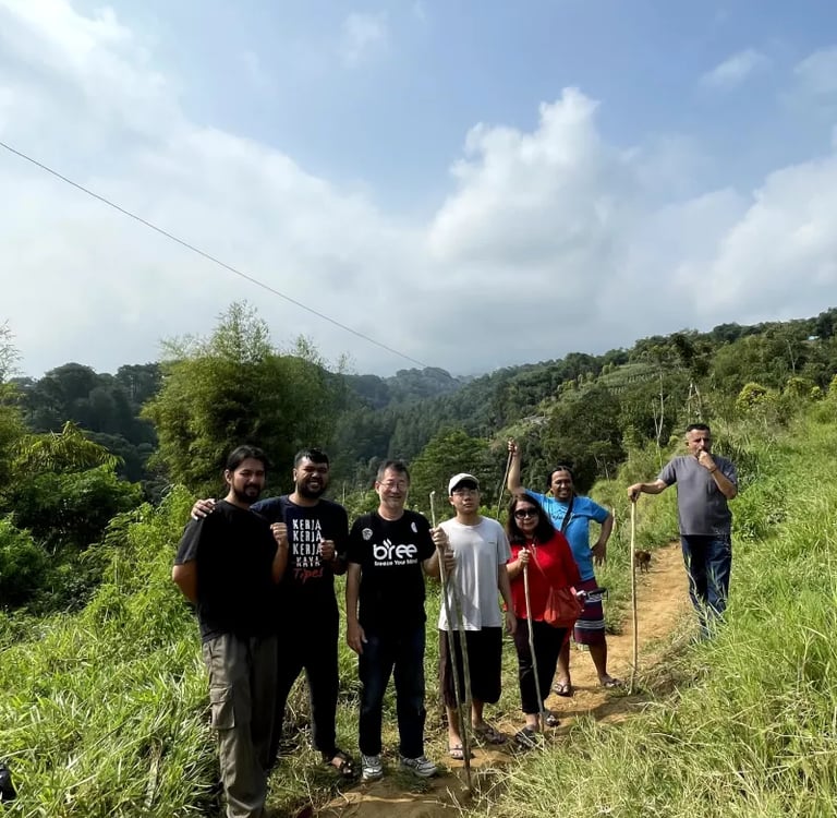 Trekking melewati hutan pinus Gunung Pancar di Sentul