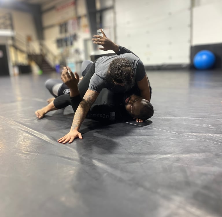 brazilian jiu-jitsu for police