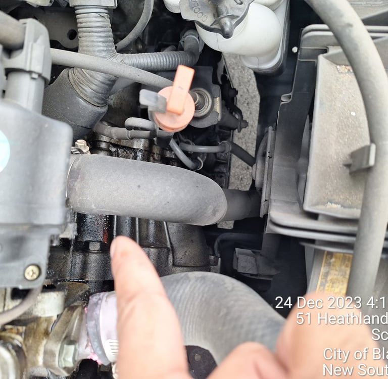 Prepurchase car inspection in Picton