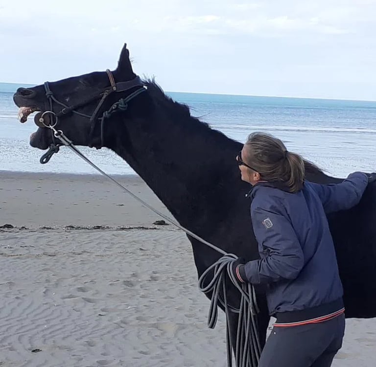 Cheval qui rit sur la plage avec la mer en fond