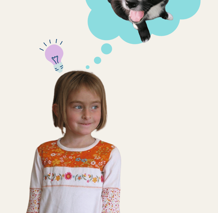 histoire du salon toutouka et lilipad