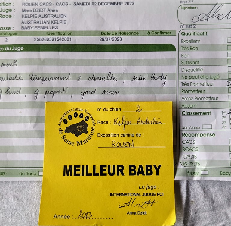 U'éris de la grotte des oneiroi meilleur baby