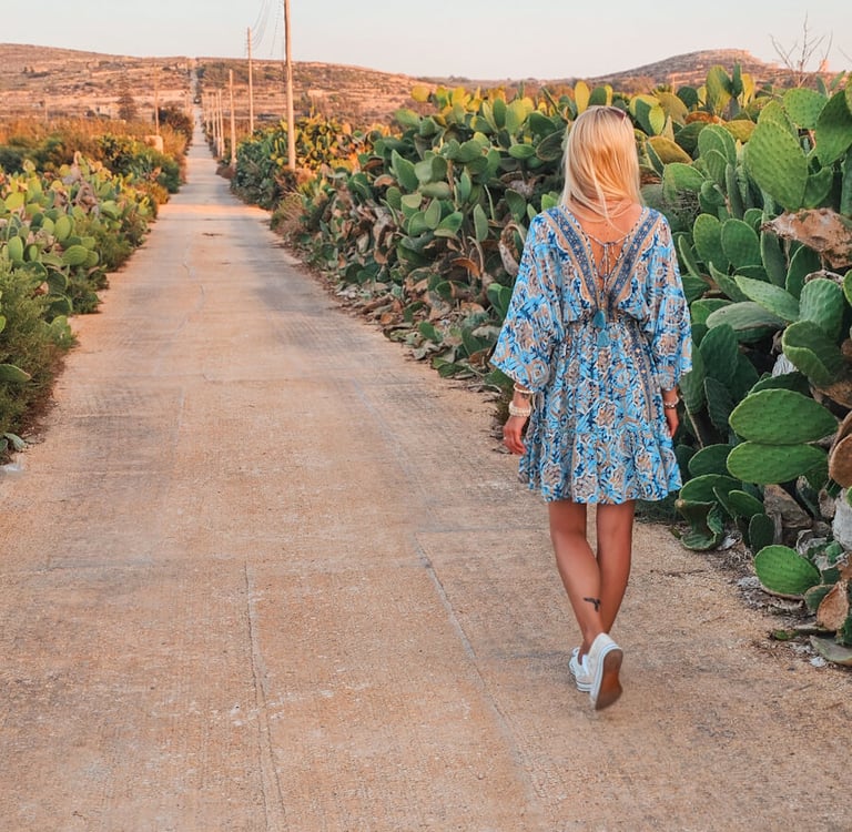 malta view with cactus