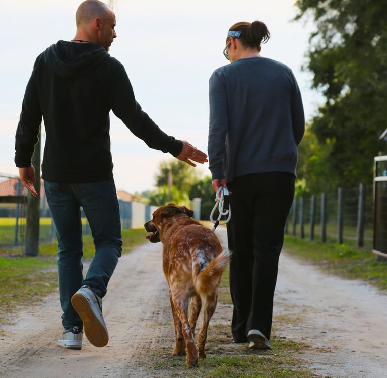 Sean O'Shea Teaching student during seminar