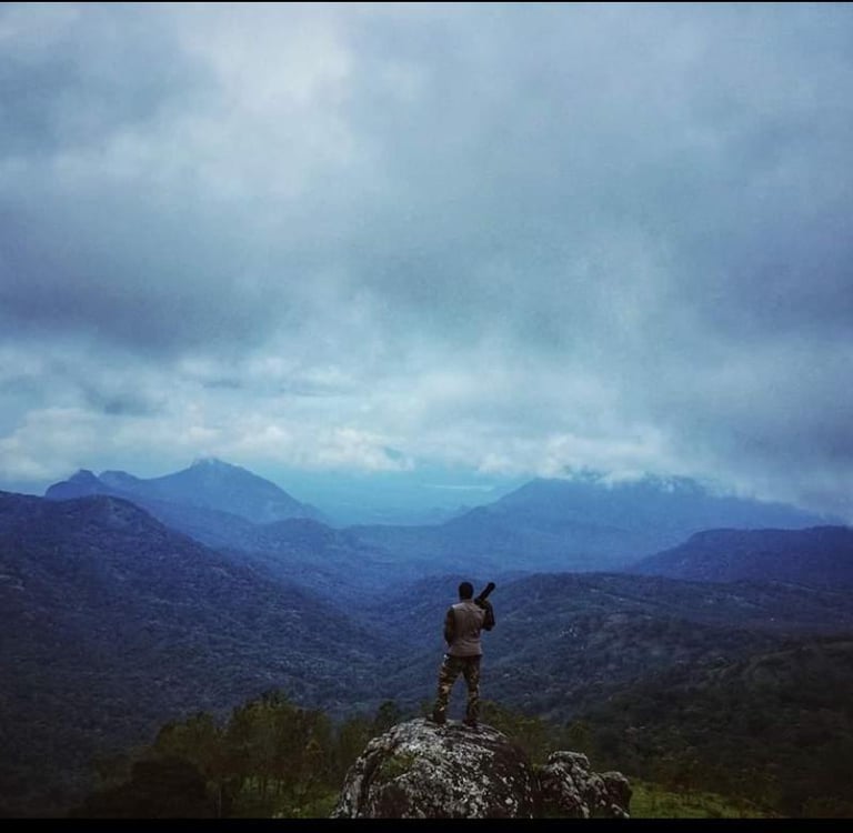 trekking at nelliyampathy