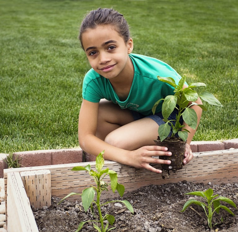 A young girl planting a vegetable seedling in a raised garden bed in a backyard.
