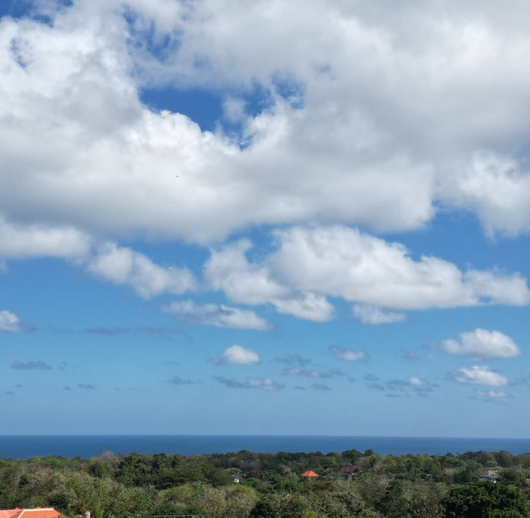 Bali land zoning explained for investors showing residential, tourism and protected zones