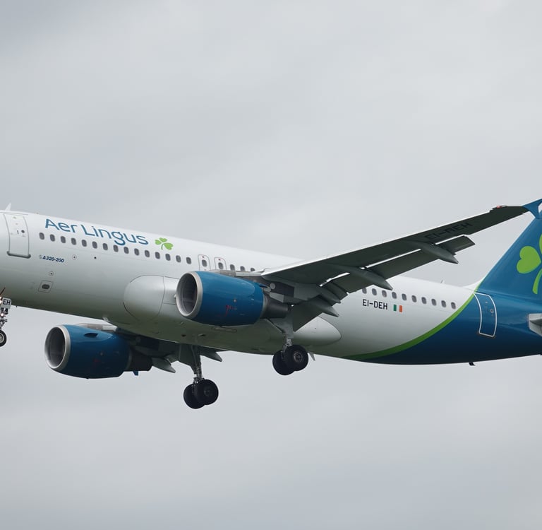 Aer Lingus A320-200 EI-DEH St Conleth on short finals to FRA/EDDF. 