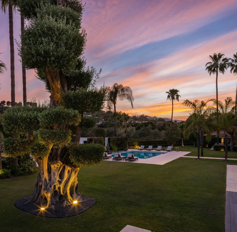 Sunset garden with fire pit and palm trees