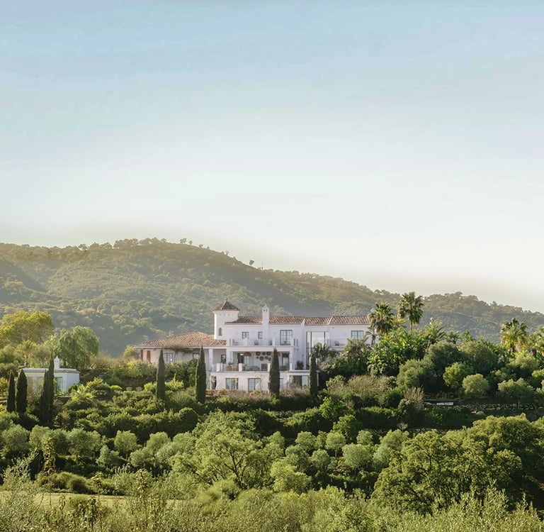 Hilltop Mediterranean estate surrounded by olive trees and nature