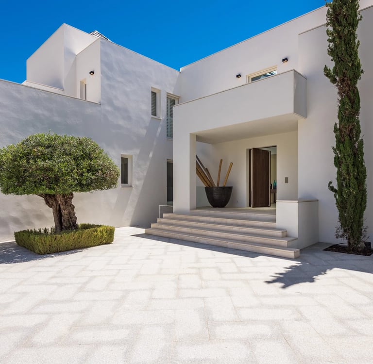 Main entrance with olive tree and minimalist architecture
