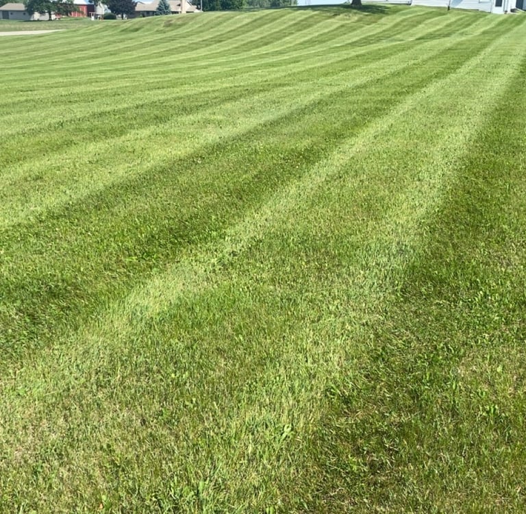 Beautiful striped lawn 