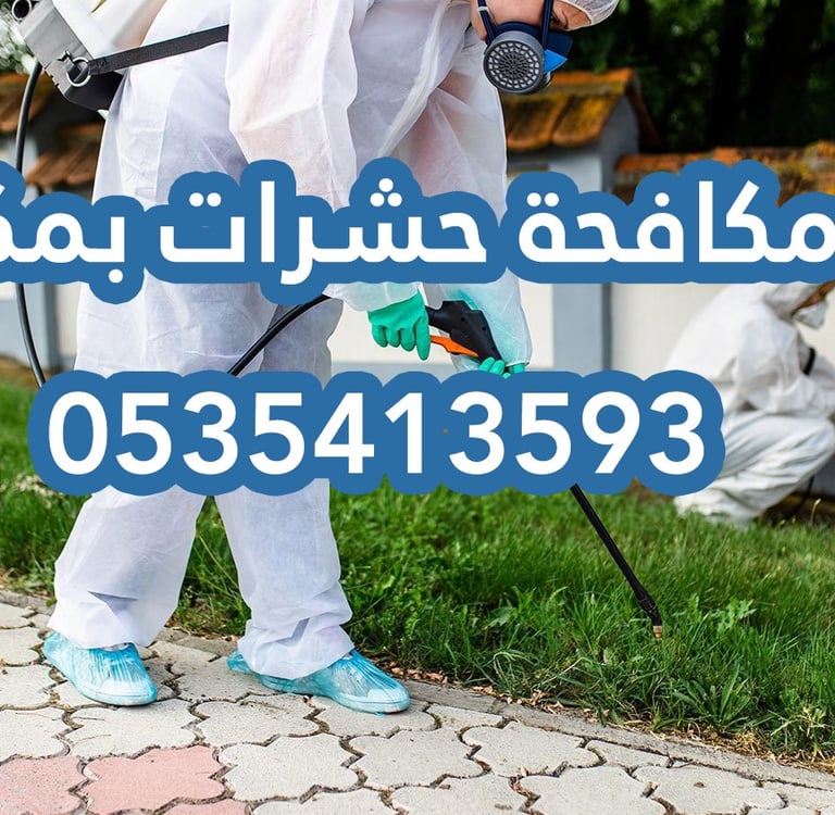 مكافحة حشرات في مكة 
