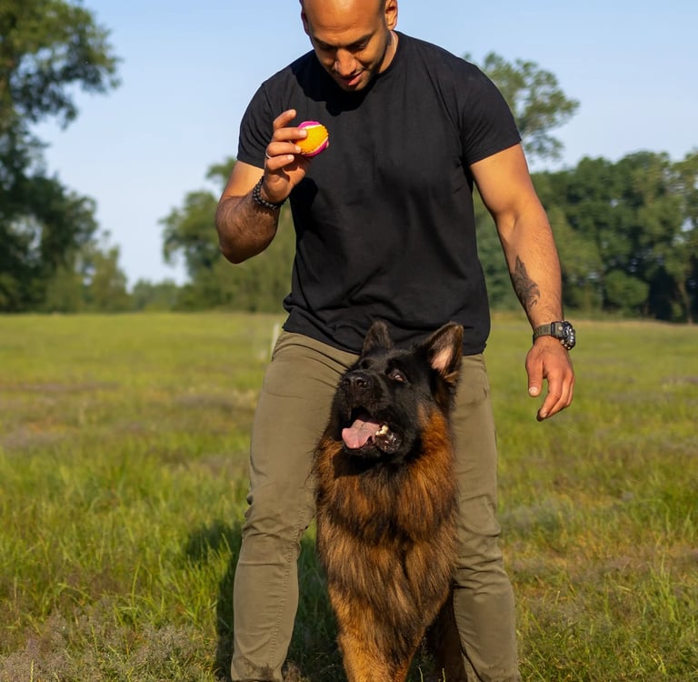 DiabK9 trainiert mit seinem Schäferhund im Park
