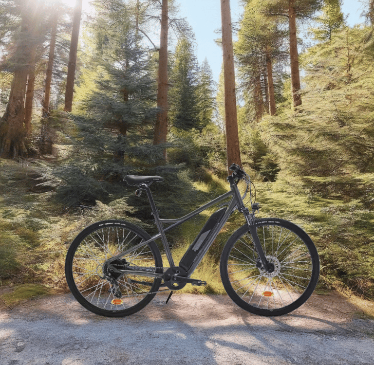 un vélo garé sur un chemin de terre dans les bois