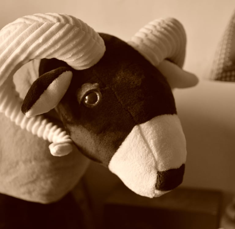 Mouflon en peluche au regard tendre