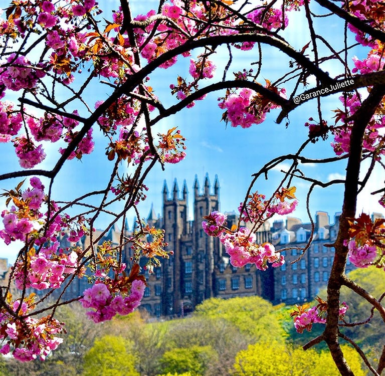New College vue depuis Princes Street entouré de fleurs