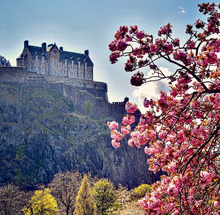 Château d'Edimbourg depuis Princes Street et ses arbres fleuris
