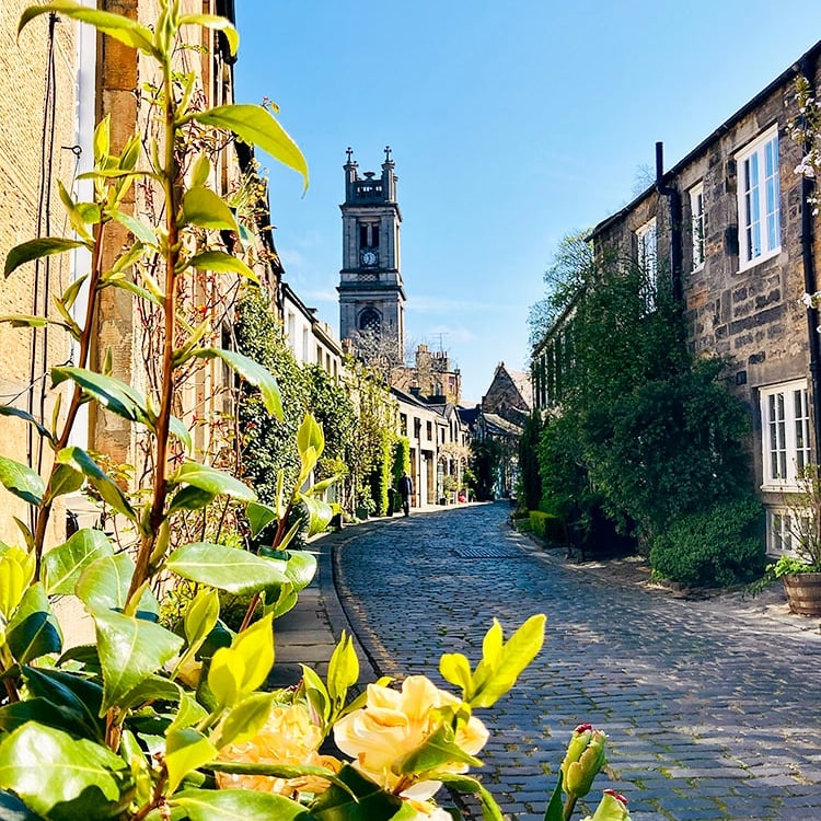 Circus Lane et ses roses jaunes