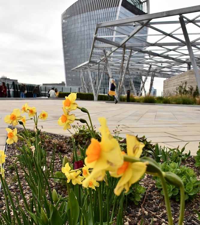Le Sky Garden vu depuis The Garden at 120