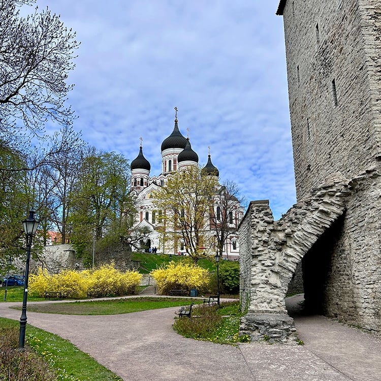 Cathédrale Orthodoxe Alexandre Nevsky