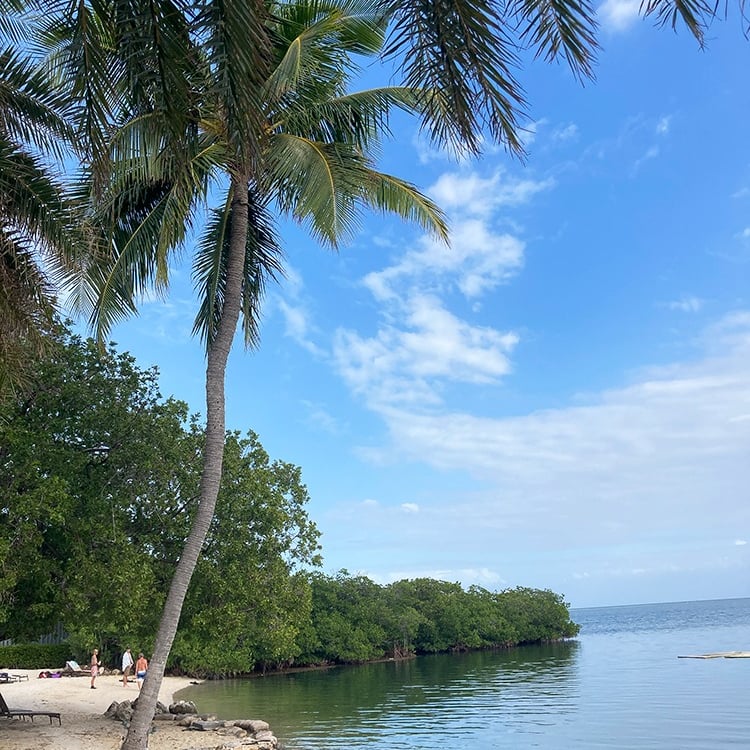 Plage de l'hotel Pelican Cove Resort & Marina, Islamorada