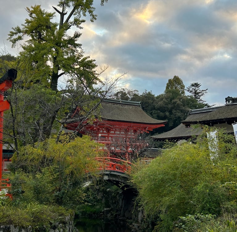 Vue de la porte du temple Shimogamo à travers les arbres