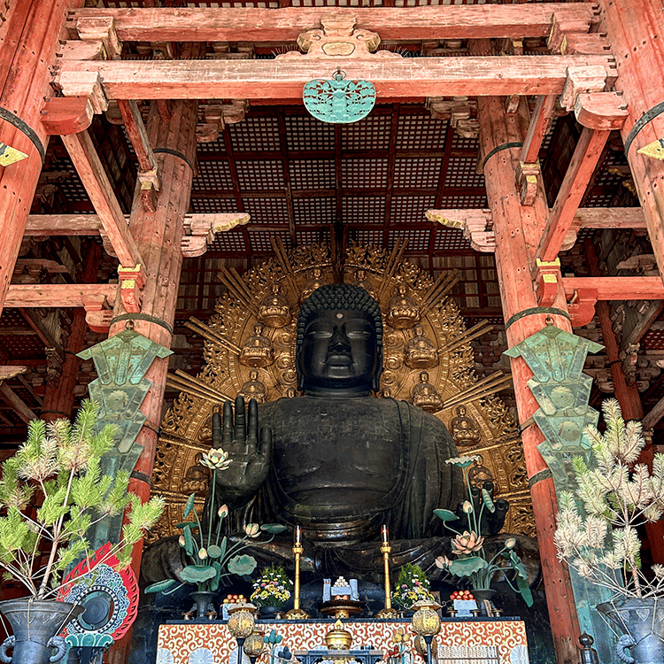 Le Grand Bouddha de Nara de face entouré de plantes et fleurs