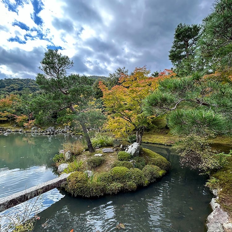 Jardin japonais du temple Tenriyu-Ji avec une carpe koi dans le plan d'eau