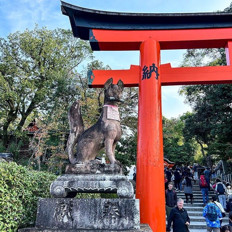 Kami renard devant une porte torii rouge