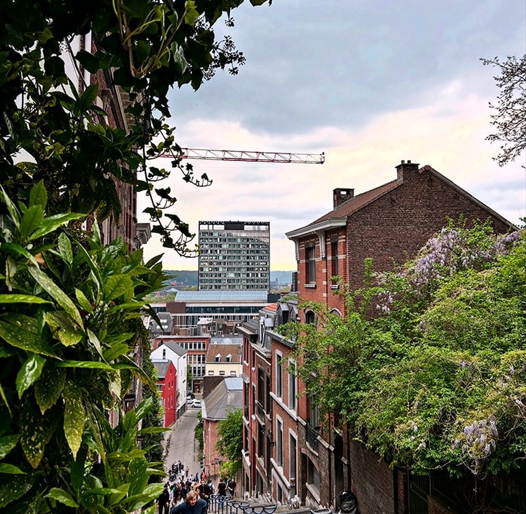 Vue sur la ville de Liège