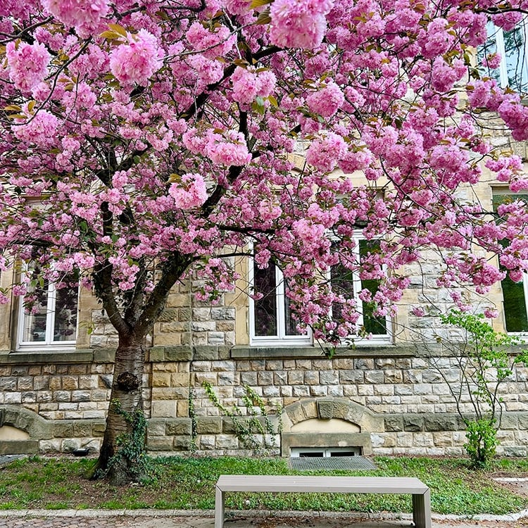 Palais de Justice de Luxembourg ville