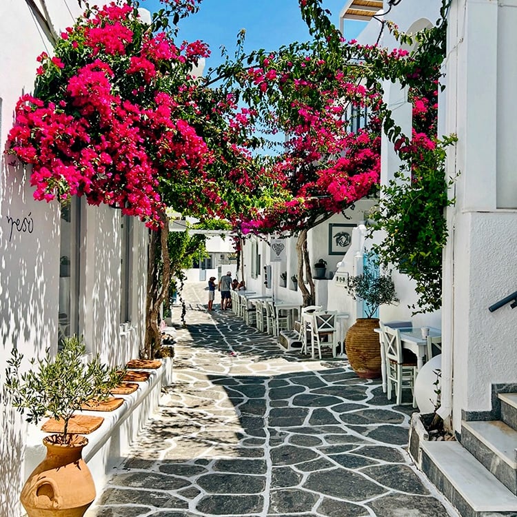 Rue pavée dans le village de Naoussa, Paros