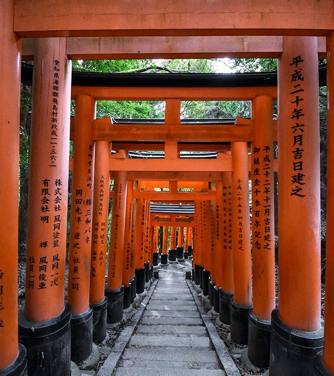 Tunnel de portes torii