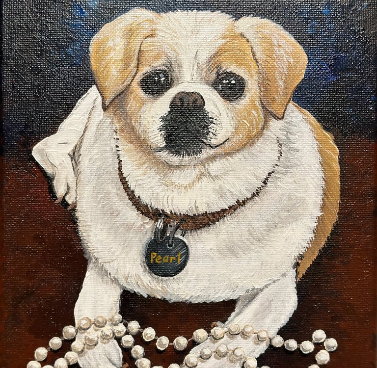 Pet Portrait
