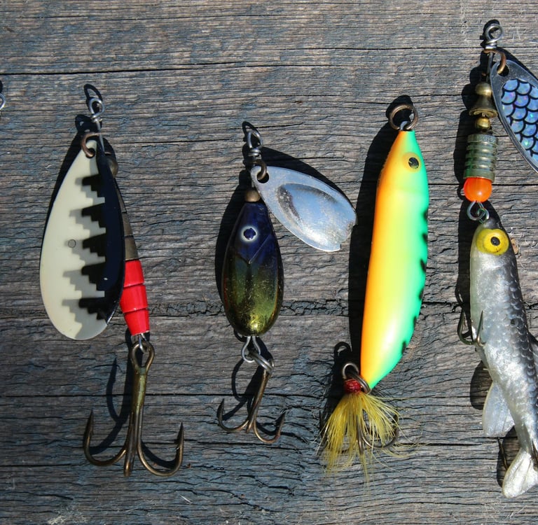Beginner’s Guide to Fishing: Essential Gear, Best Spots, and Proven Techniques for a Successful Catc
