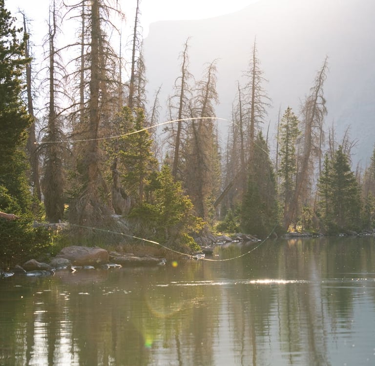 Fly Fishing vs. Bait Fishing — Which Is Right for You?