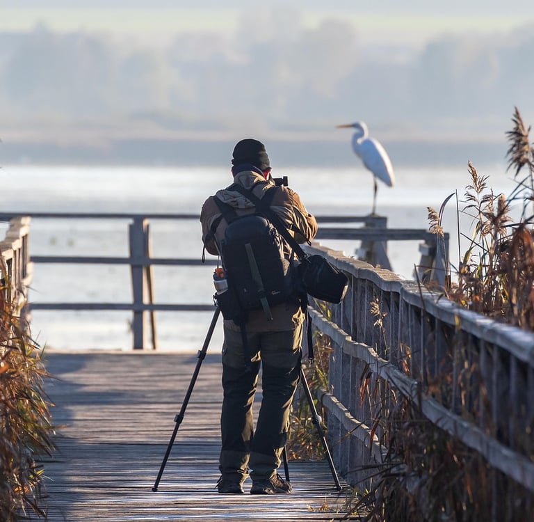 Focus and Foresight: Business Lessons Photography Teaches About Patience and Vision