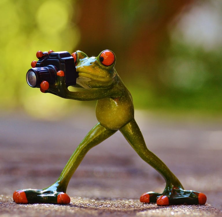 How to Build a Daily Photography Habit That Sparks Creativity: A Complete Guide for Every Photograph