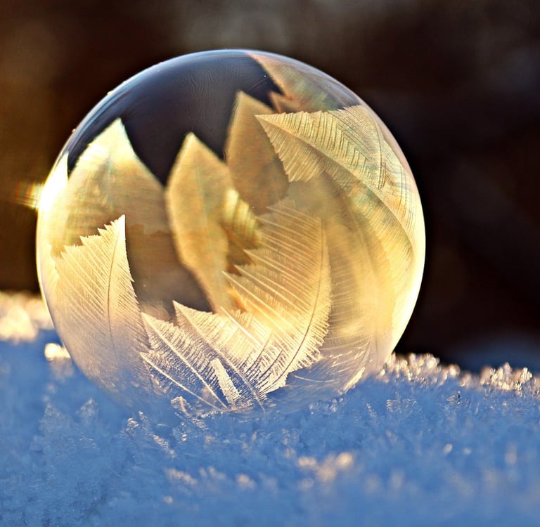 Introduction to Close-Up Photography: Discovering Beauty in the Details Around You
