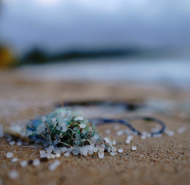 Invisible Invaders: How Microplastics Are Silently Poisoning Our Food Chain