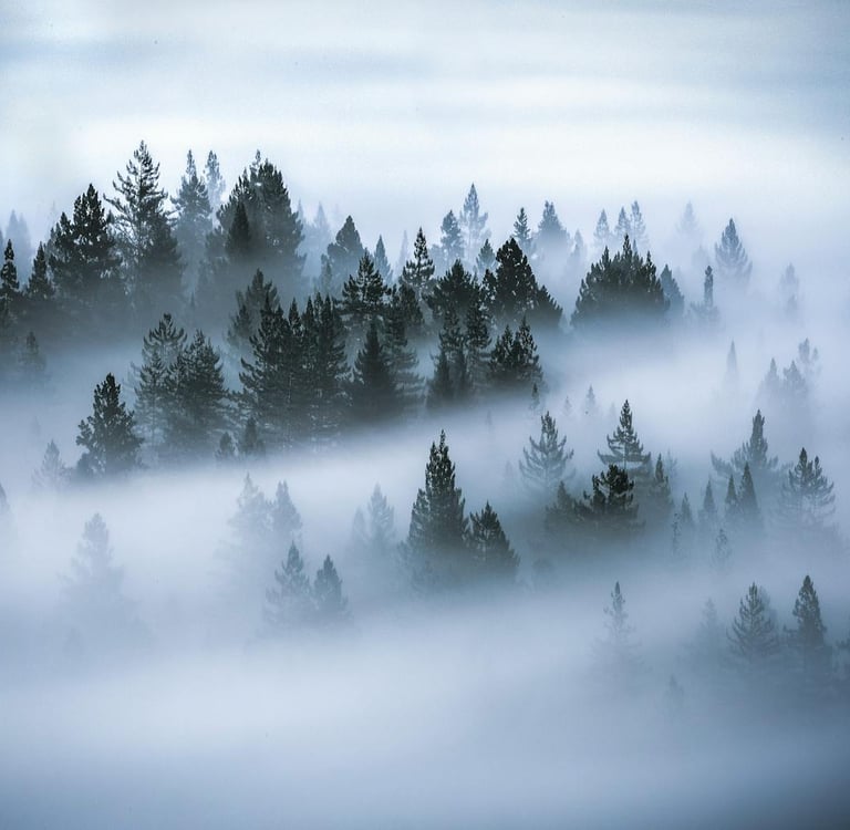 Photography and Mindfulness: How Capturing Moments Can Calm the Chaos of Modern Life
