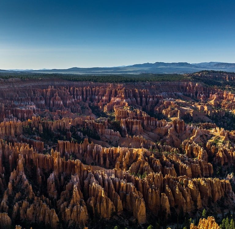 Rewilding the Earth: How Rewilding Projects Are Restoring Nature’s Balance and Healing the Planet