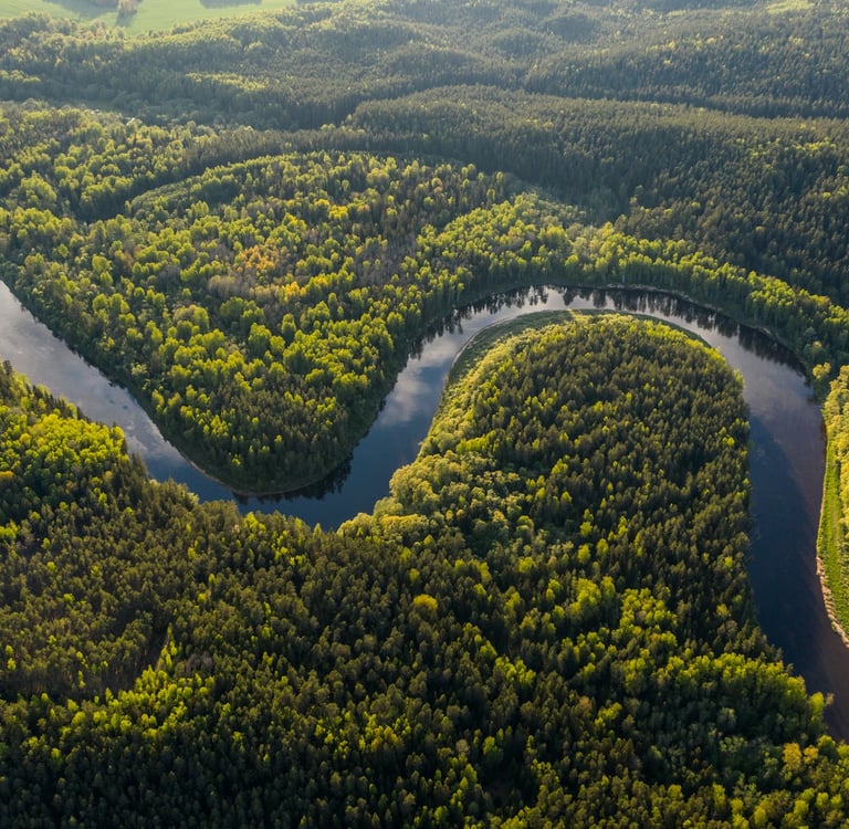 The Amazon Rainforest: Nature’s Beating Heart in Peril — Why Its Survival Determines Our Planet’s Fu