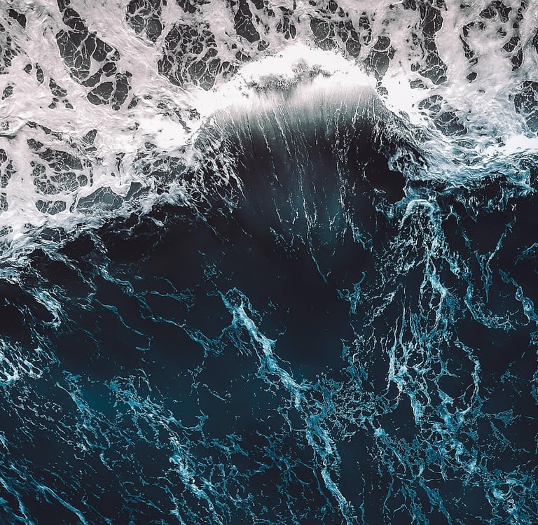 The Future of Clean Oceans: How Technology and Ecology Will Save Our Seas